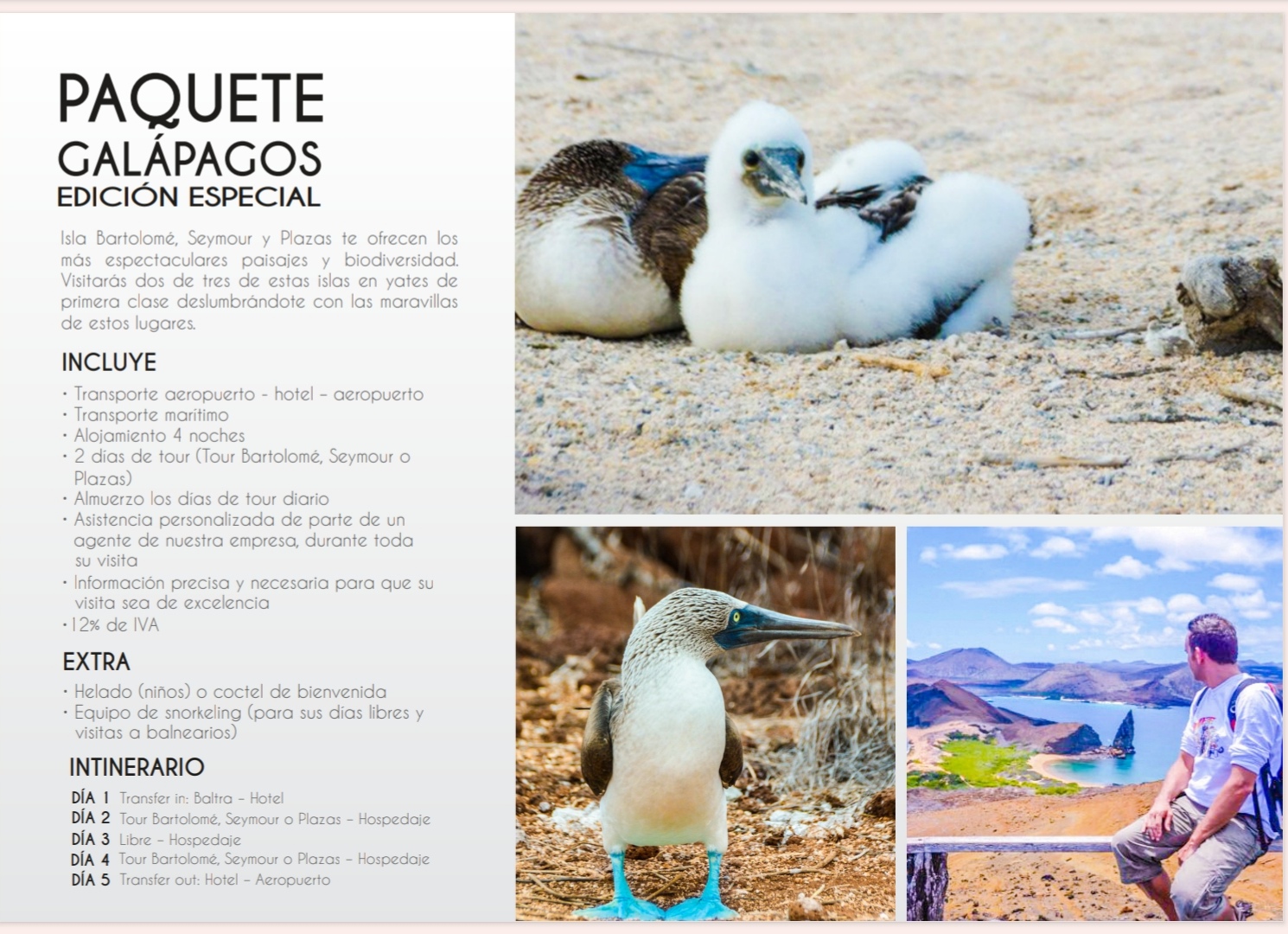 Paquete Edicion Especial
